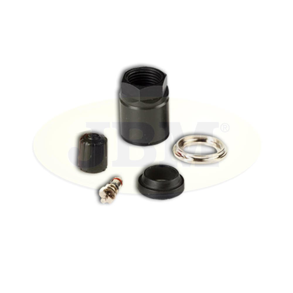 SET DE REPARAÇÃO TPMS VDO TG1B