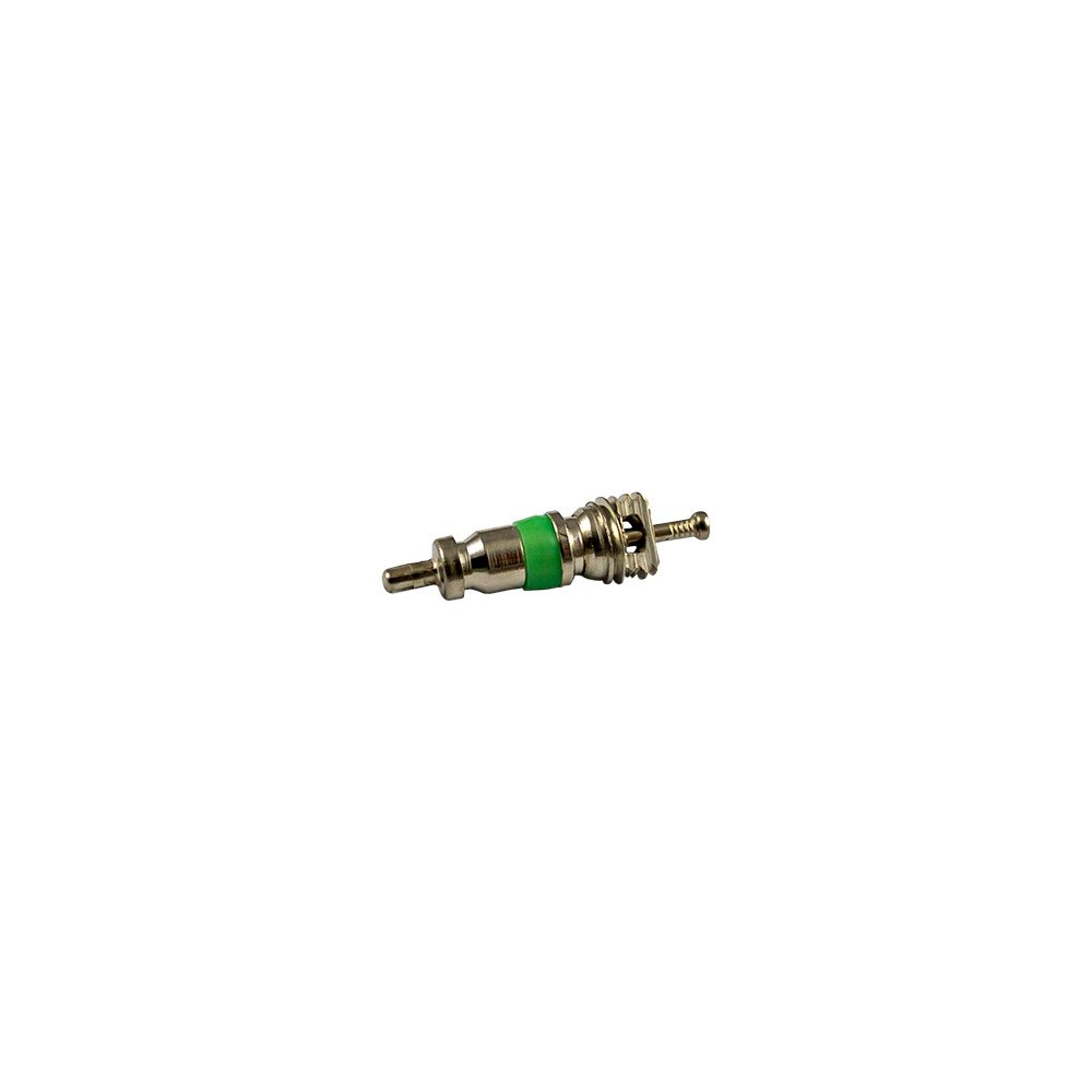 KIT DE 10 VÁLVULAS PARA REF. 53599 - 5X19 MM R12 (VERDE)