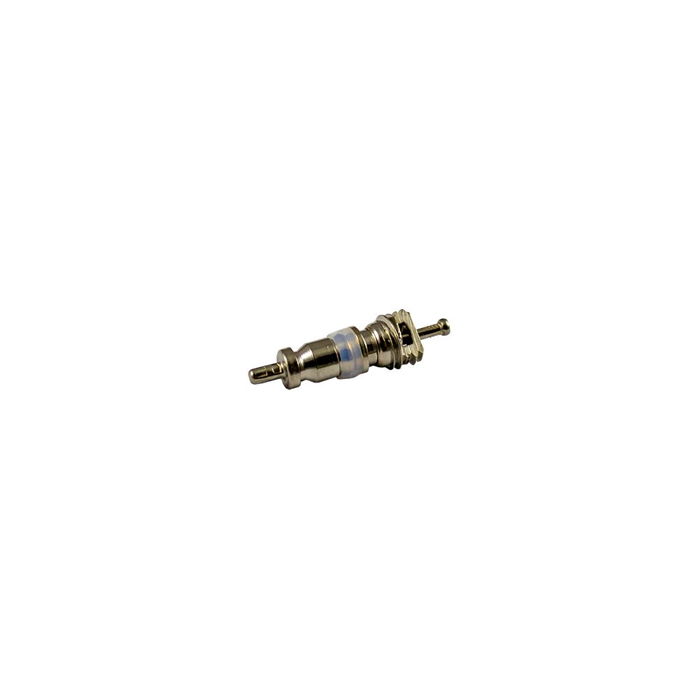 KIT DE 10 VÁLVULAS PARA REF. 53599 - 5X19 MM R12